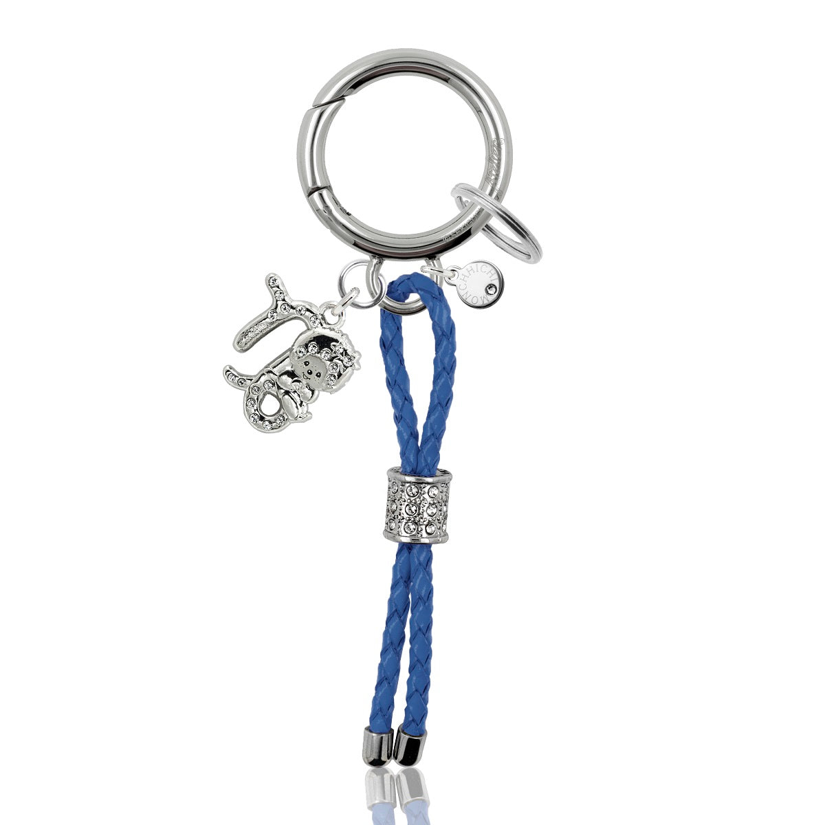 KEYCHAIN(CAPRICORN) image 0