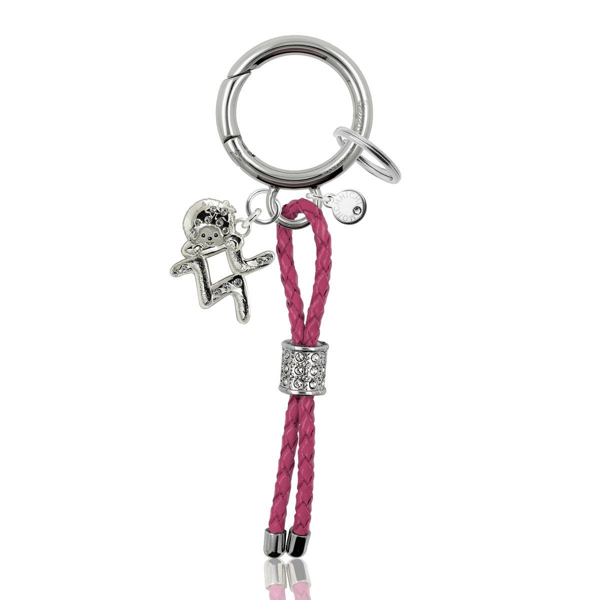 KEYCHAIN(AQUARIUS) image 0